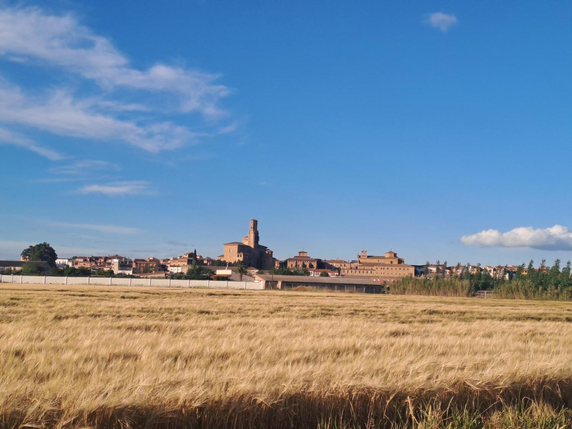 Apartamento Rural Isla Esencia De Bardenas Navarra Villafranca Exterior foto